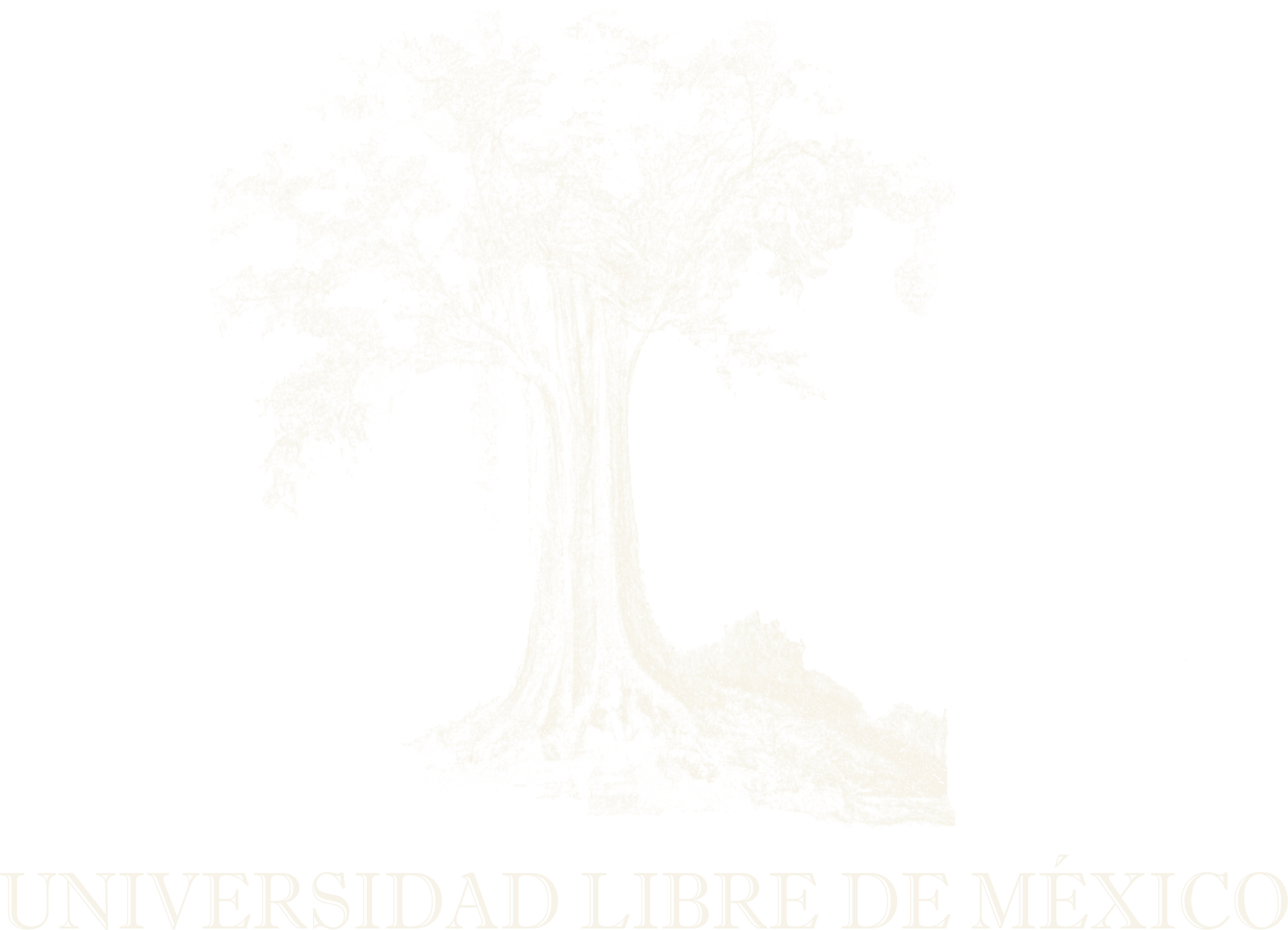 Universidad Libre de México